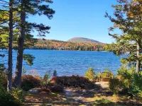 Dog-Friendly Pond Retreat- Hike, Swim Relax, Repeat!