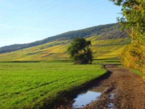 Apartment "chapel" near Bernkastel-Kues