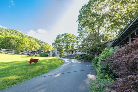 One-Level 2Bd/2BA Pet-Friendly Cabin in the Center of Maggie Valley!
