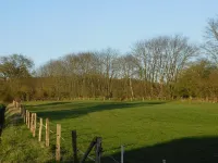 Ferienhaus Steinburg - Wo Urlaub Dein Zuhause ist