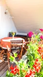 Lovely furnished holiday apartment in central, peaceful location near beach - Bintang 3
