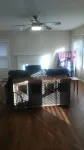 1st floor bedroom and bath - plus 2 on the 2nd floor!