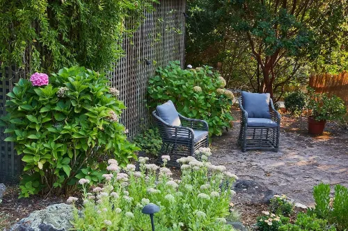 Studio cottage retreat in a vineyard setting