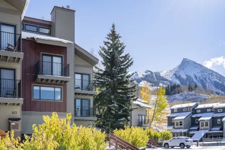 Ski and Bike In/Out Condo on Mt. Crested Butte with Private Entrance. Sleeps 8