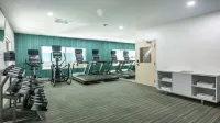Holiday Inn Express & Suites REGINA-SOUTH by IHG - Gym