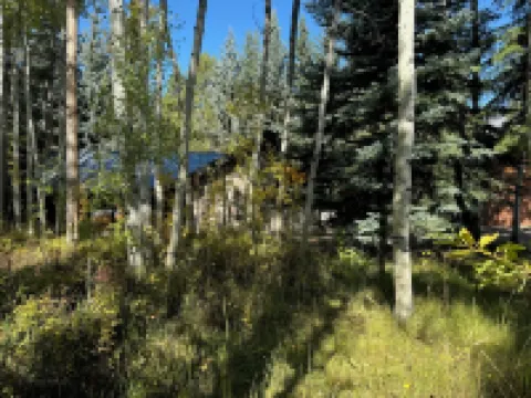 Renovated log home.  Private setting close to skiing, National Parks and Jackson Hotels in Moose Wilson Road
