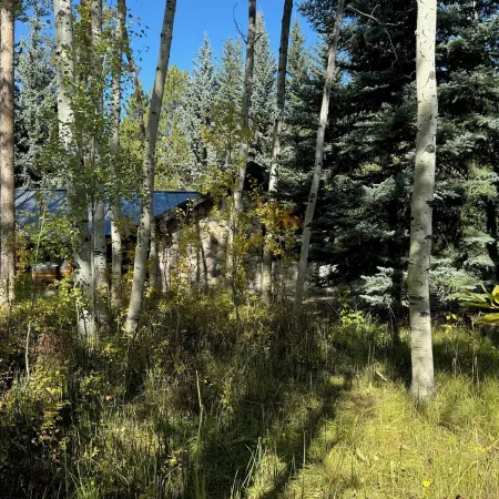 Renovated log home.  Private setting close to skiing, National Parks and Jackson