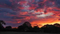 Peaceful, scenic,cosy cottage near Wells and Frome