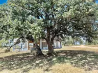 Peaceful Cabin with Views on 40 Acres - Serenity Ranch!