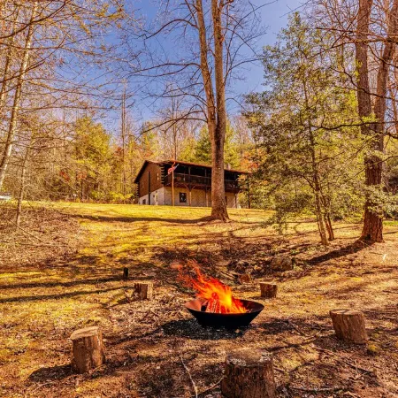Secluded wilderness cabin retreat in Bryson City- Dog friendly! WiFi A/C
