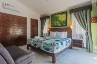 Luxurious 6-Bedroom Villa with Private Pool in Playa del Carmen - Villas