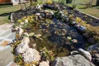 Charming Modern Home with Koi Pond & Spacious Backyard – Sleeps 6
