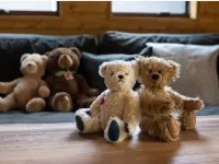 Hermann Teddy Collectors' House Hotels in 