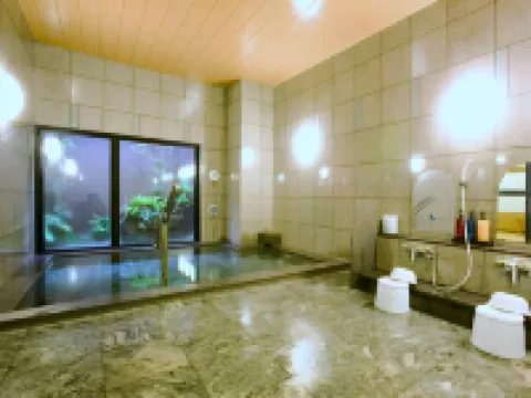 HOTEL ROUTE-INN  YATSUSHIRO Hotels in Yatsushiro