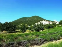 Studio flat and swimming pool, surrounded by vines in the heart of Provence