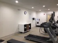 Holiday Inn Express & Suites PIGEON FORGE - SEVIERVILLE by IHG - Gym