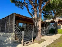 Chalet Simple Hotels in Pietracorbara