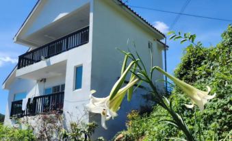 Geojedo Hongpo 729 Pension