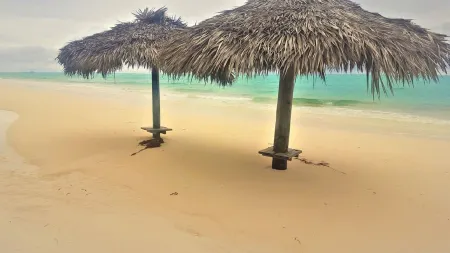 5 Beach Homes Near White Sand Beaches of South Andros Отели в г. Kemp's Bay Settlement