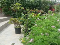 Madalenas B&B Hotels near Mirtiotissa Beach