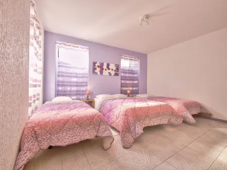 Hotel Palmeira Отели в г. Сан-Жасинту