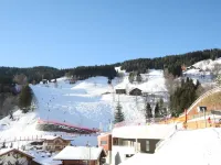 Apartment in Dienten Near Ski Lift