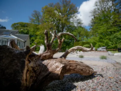 Birchbank Guest House Hotels in Roybridge