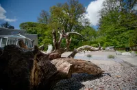 Birchbank Guest House Hotels in Spean Bridge