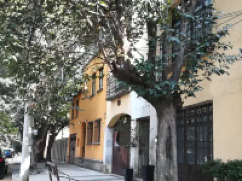 Casa Boutique Calle Berlin Hoteles en Coyoacán