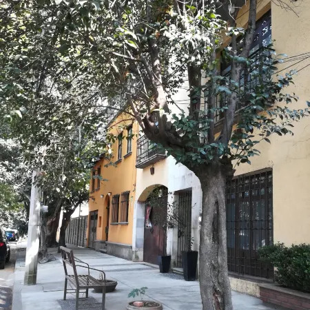 Calle Berlin Boutique