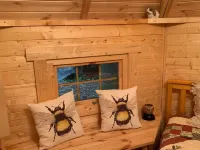 Starry Meadow & Rescued Animal Experiences