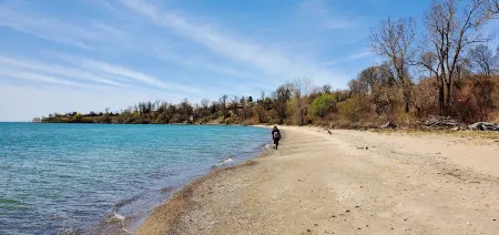 Parkside Flat #5 - Seacliff Beach Suites