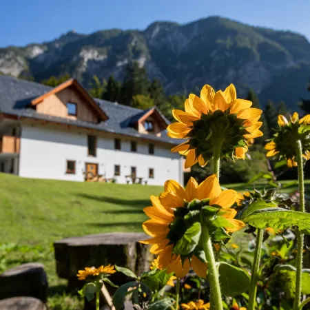 Apartments Goldhorn Kingdom