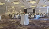 Hilton St. Louis Frontenac - Wifi