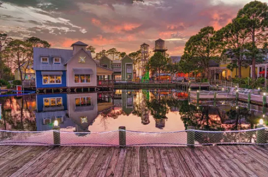 貝殼洗牌在領航員之家