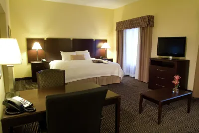 Hampton Inn & Suites Orlando-John Young Pkwy/S Park Hotels in Orlando