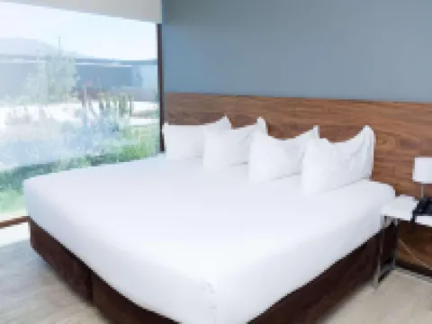 Park Inn by Radisson Los Olivos de Vallenar Hotels in Vallenar