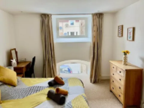 尼斯河畔寬敞迷人公寓 酒店