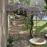 La Grande Maison Mazamet Hotels in Mazamet