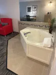 Country Inn & Suites by Radisson, Elgin, IL - Bathtub