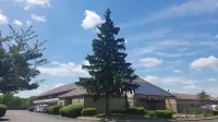American Value Inn