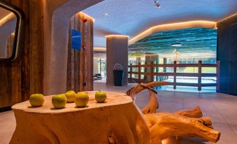 Saltria - Your Alpine Experience