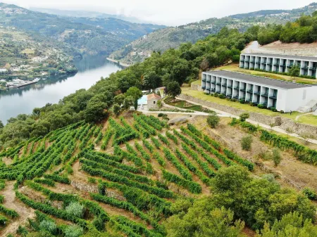 Douro Palace Hotel Resort & Spa Отели в г. Анседе