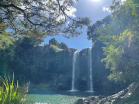 Bella Vista Motel Whangarei Hotels in Whangarei