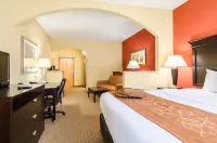 Comfort Suites Salina South Hotels in Smolan