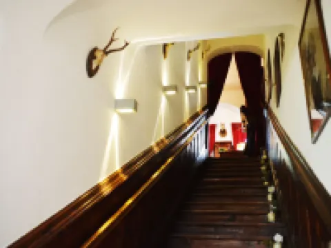 蔡林格斯科斯酒店 穆爾河谷酒店