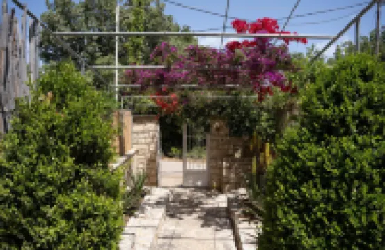 Villa Aloe in Prines