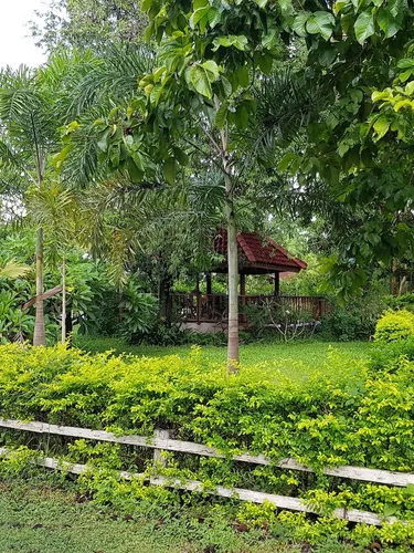 รูปภาพของเรนโบว์ รีสอร์ท อำเภอเพ็ญ