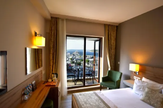 كولي هوتل فنادق في 