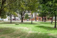 Hotel 104 Art Suites Hotels near La Chula 116